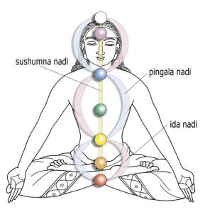chakras-and-the-Nadi-man